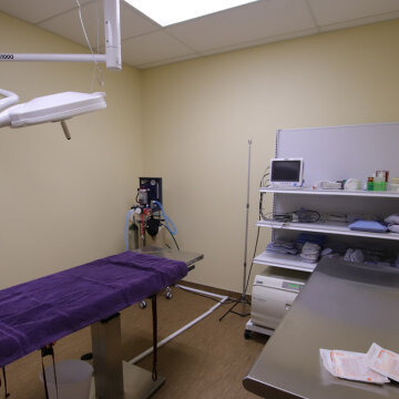 Surgery suite at Victor Vet Care in Victor, NY.